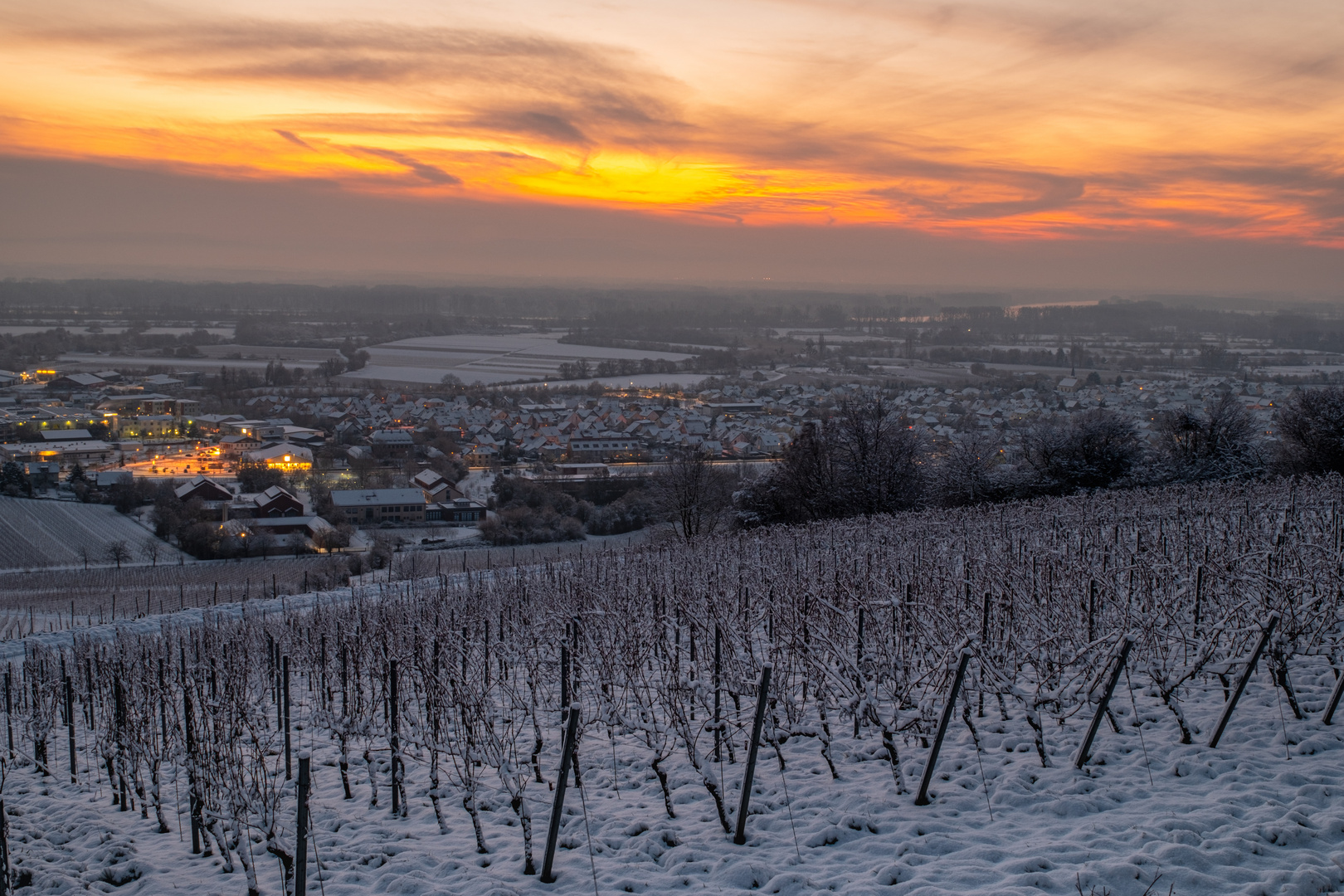 Von den Weinbergen ins Rheintal