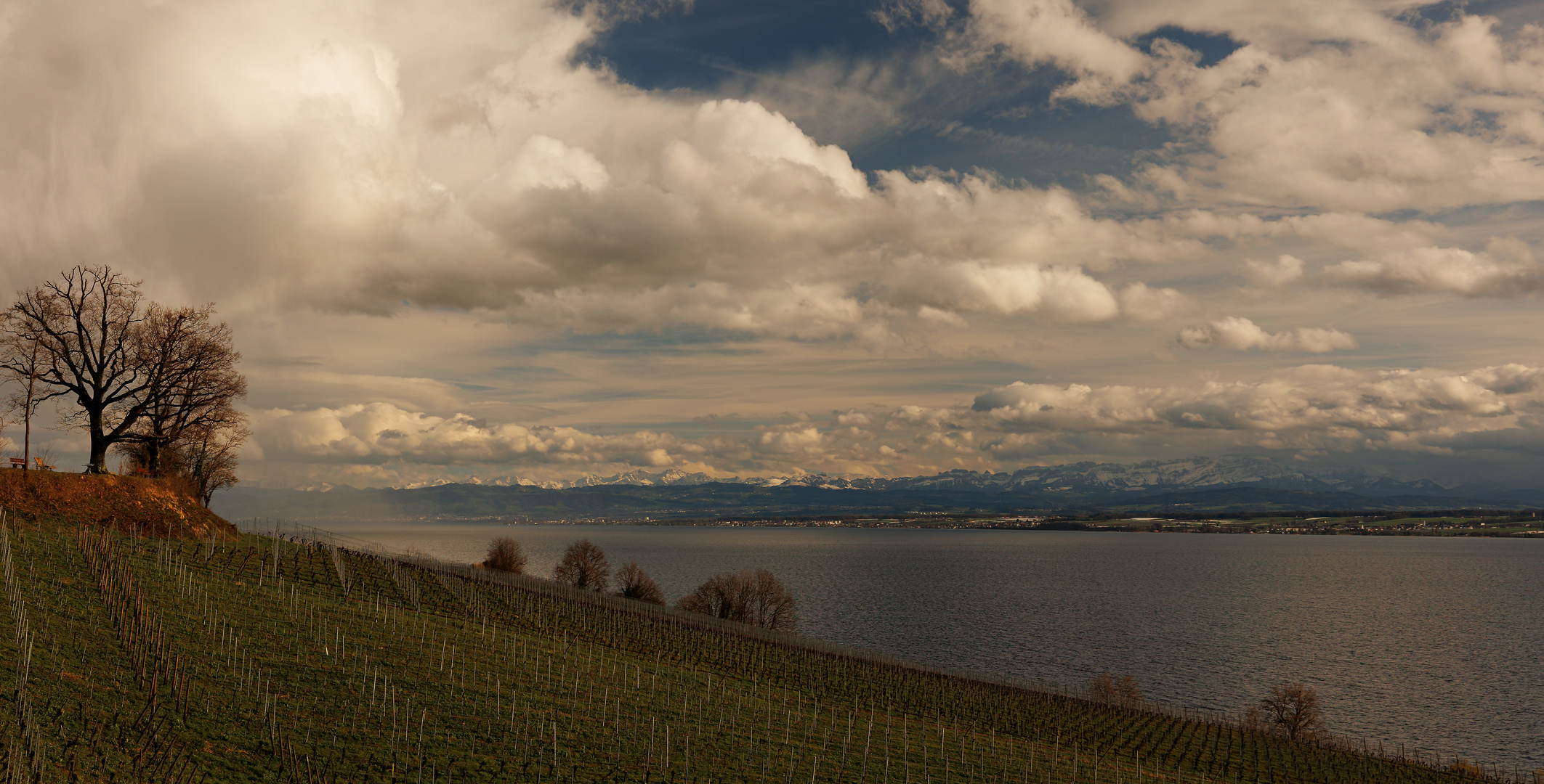 von den Weinreben über den Bodensee zu den Alpen