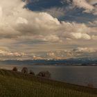 von den Weinreben über den Bodensee zu den Alpen