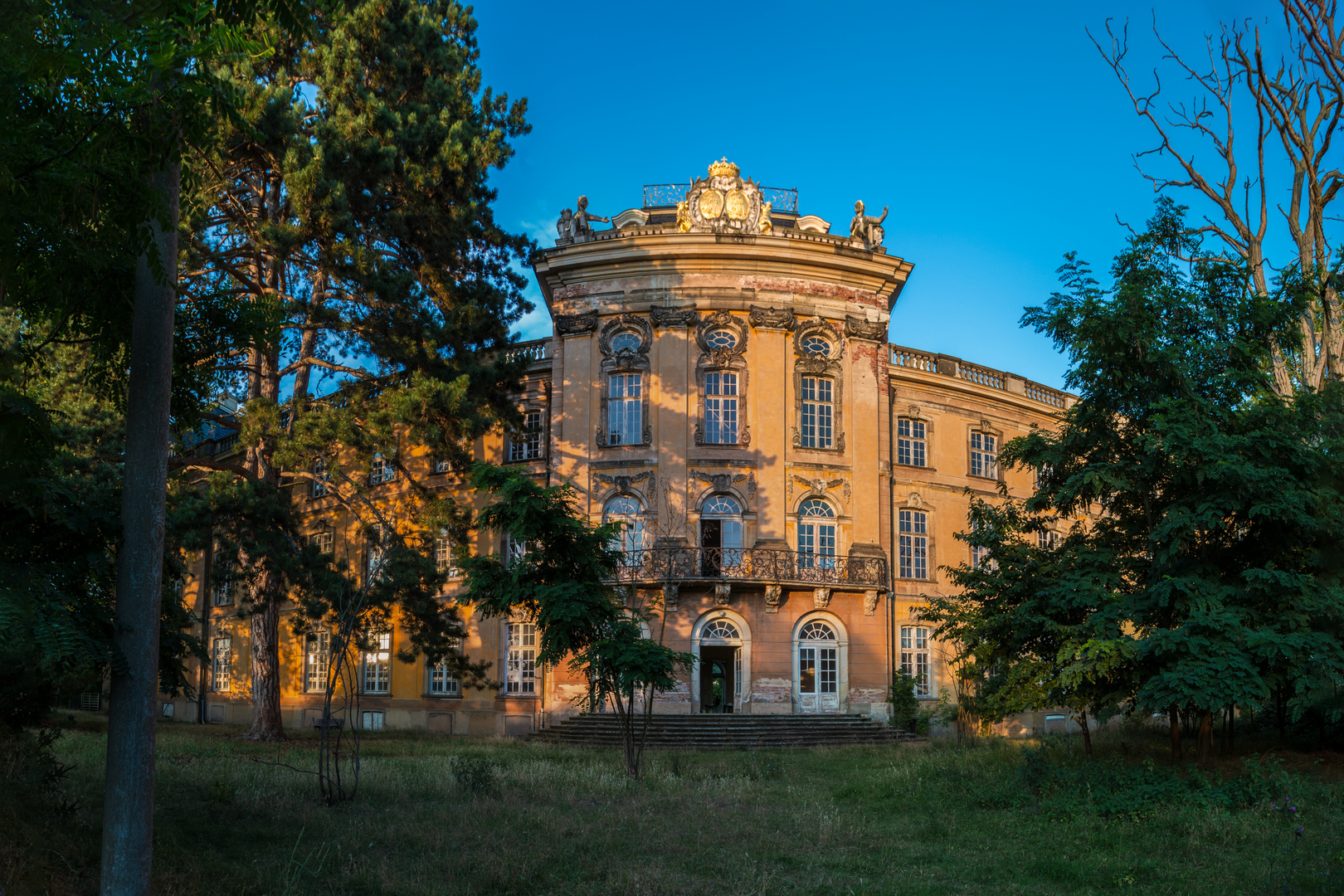 Von der Abendsonne angeleuchtet