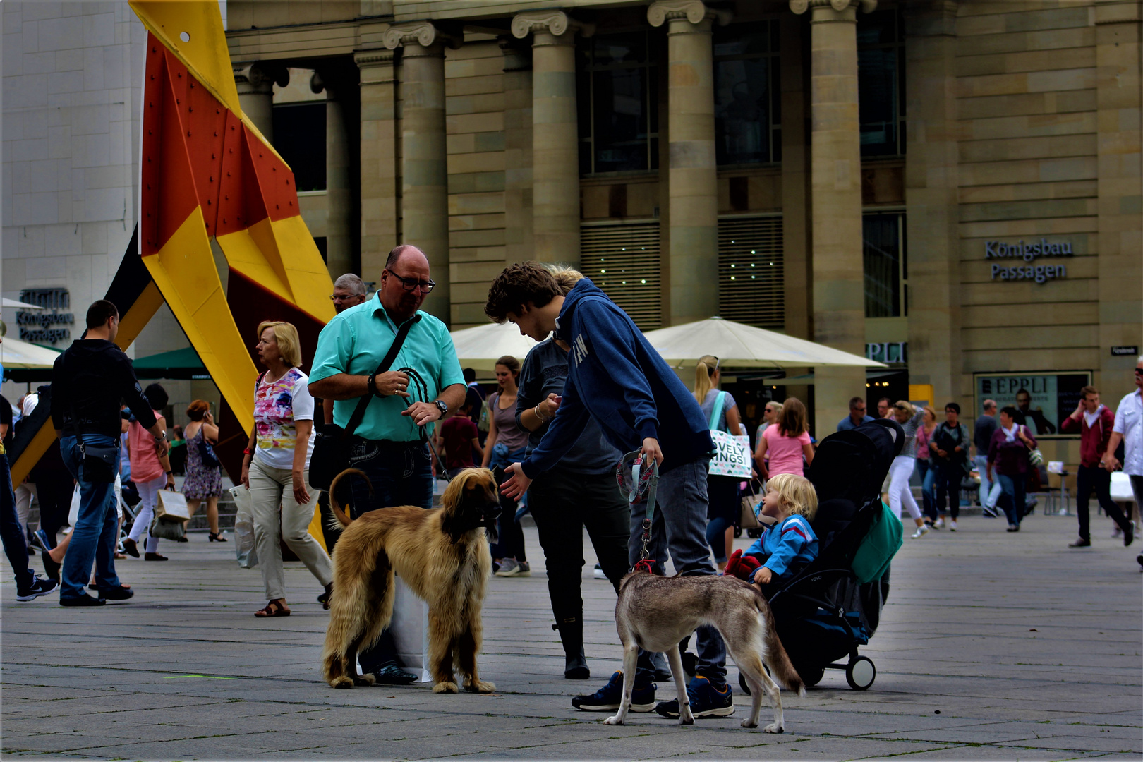 von der Anziehung zwischen Hunden und den daraus folgenden Gesprächen ...