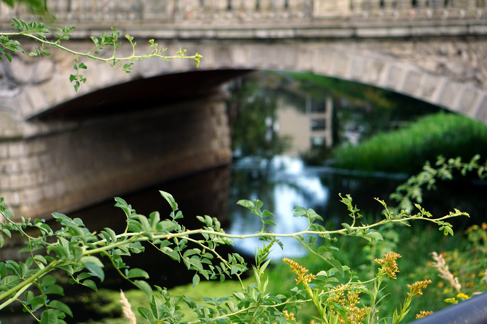 von der Brücke spähen