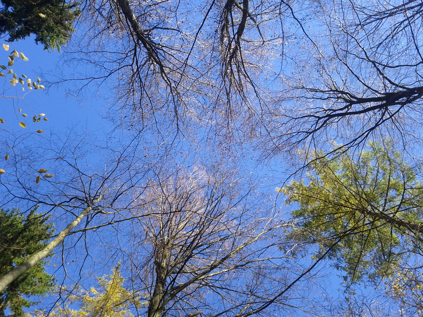 von der Erde zur Himmel