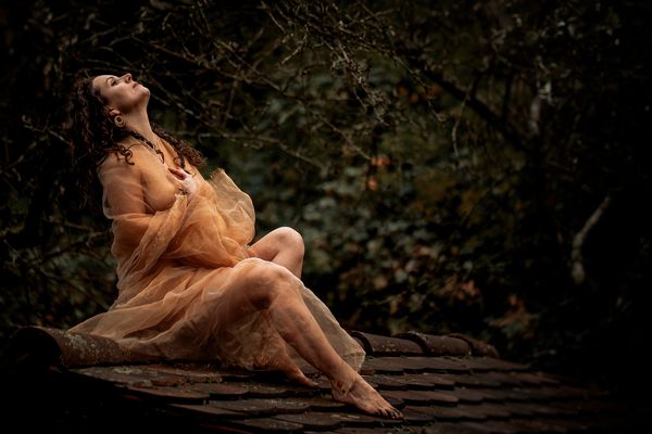 Von der Erhabenheit einer alten Gartenhütte