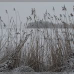 von der Faehrstrassenalle aus fotografiert ...............