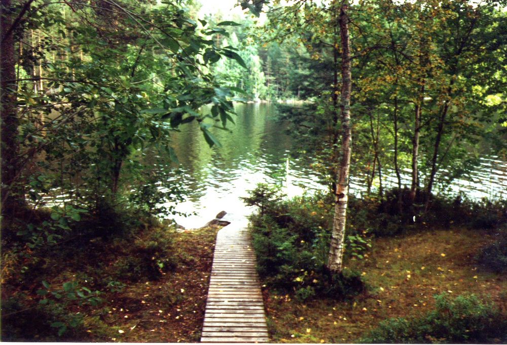Von der finnischen Sauna direkt in den See springen !      Juli 2004