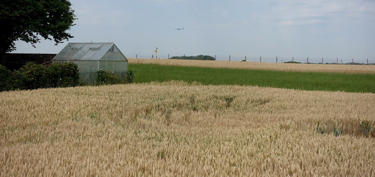 Von der Fortsetzung des Landeanfluges