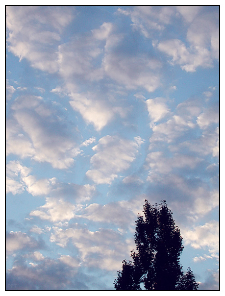 Von der Freiheit der Wolken