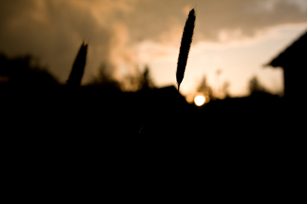 von der Frühjahrssonne zur Unwetternacht