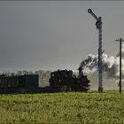 Von der großen Fotowolke eingeholt.