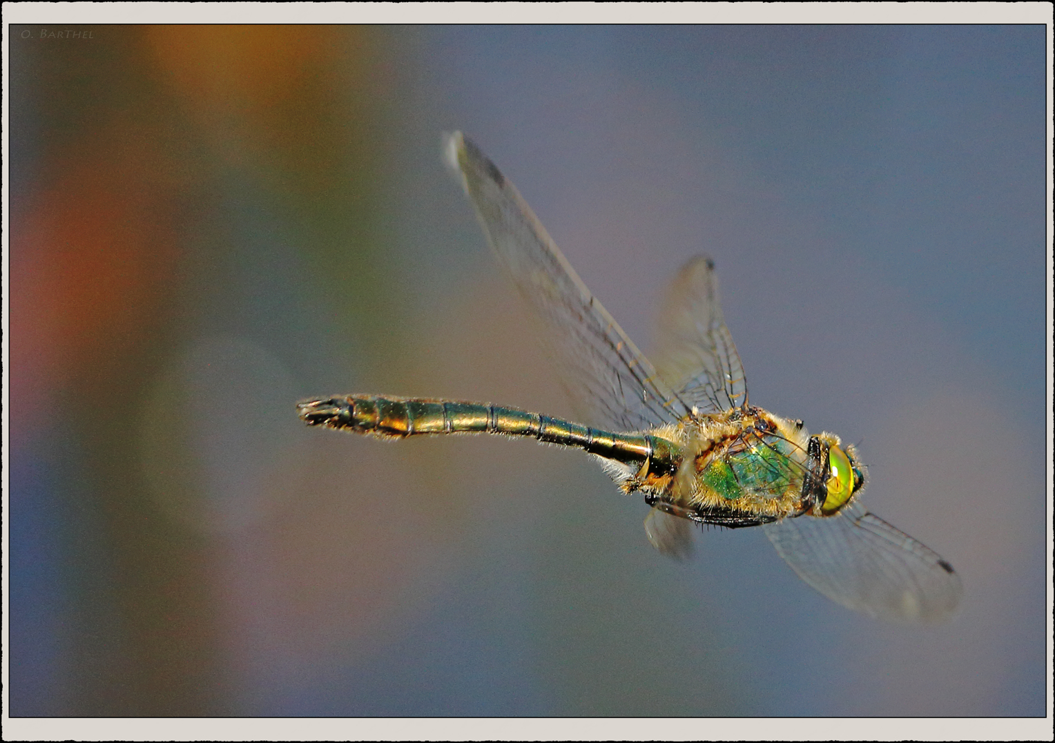 von der Kunst des Fliegens