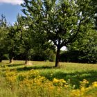 von der Leichtigkeit des Sommer s kündend....