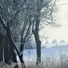 von der Melancholie des Winter s erzählend 