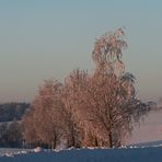 Von der Morgensonne beleuchtet...