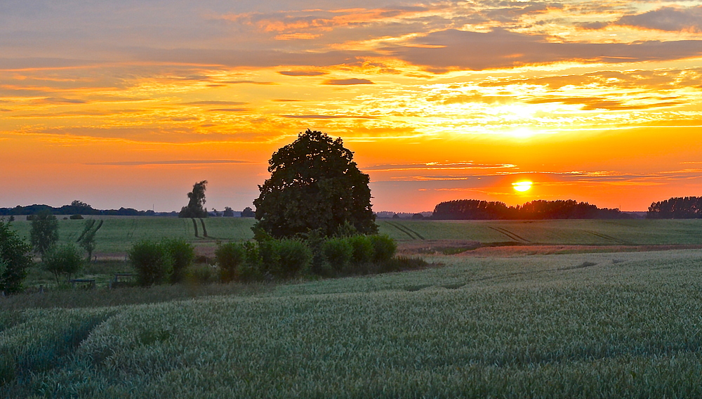 Von der Müritz an die Oste