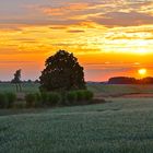 Von der Müritz an die Oste