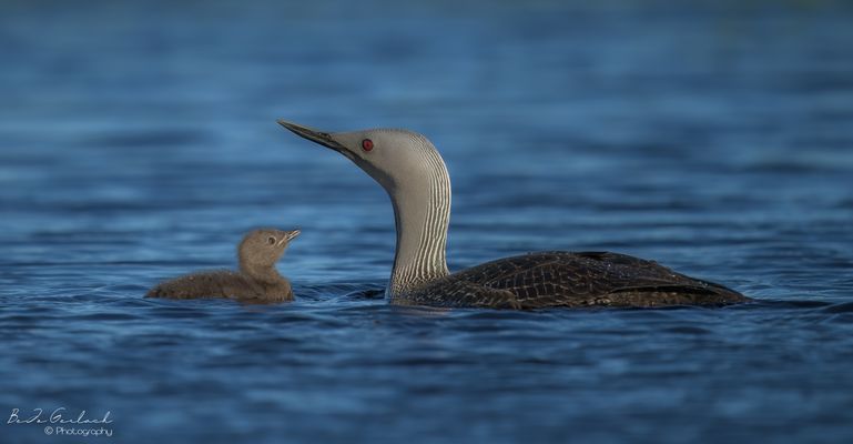 Von der Mutter gut behütet 