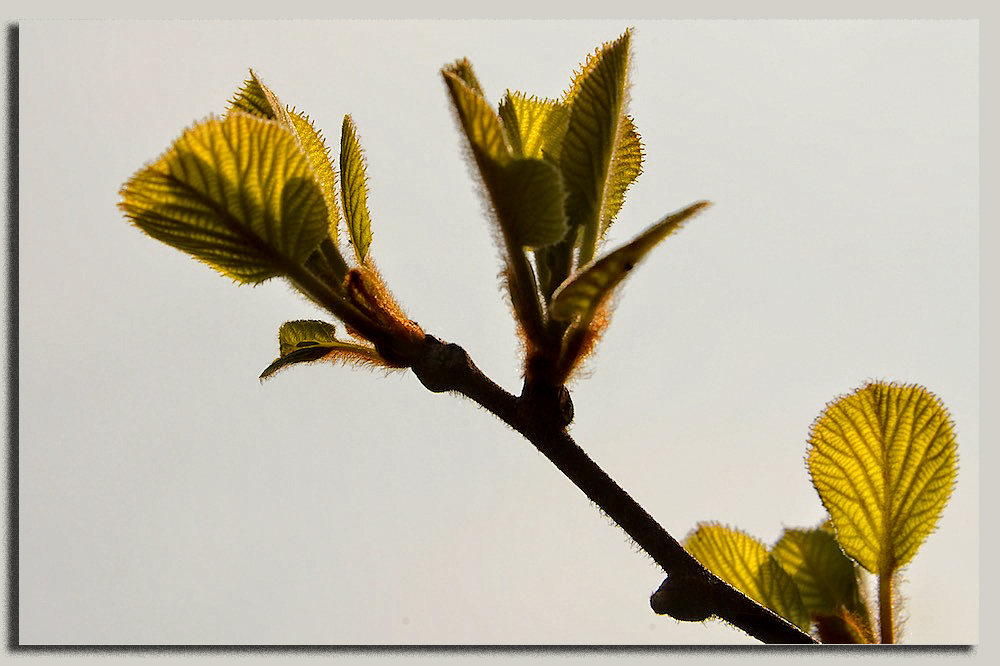 ... von der natur ...