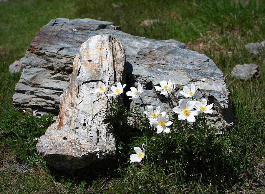 Von der Natur arrangiert.