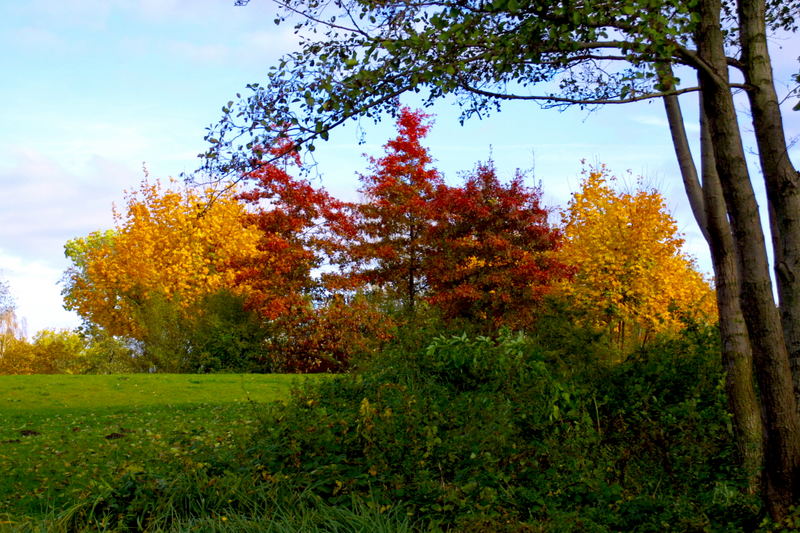 von der Natur bemalt