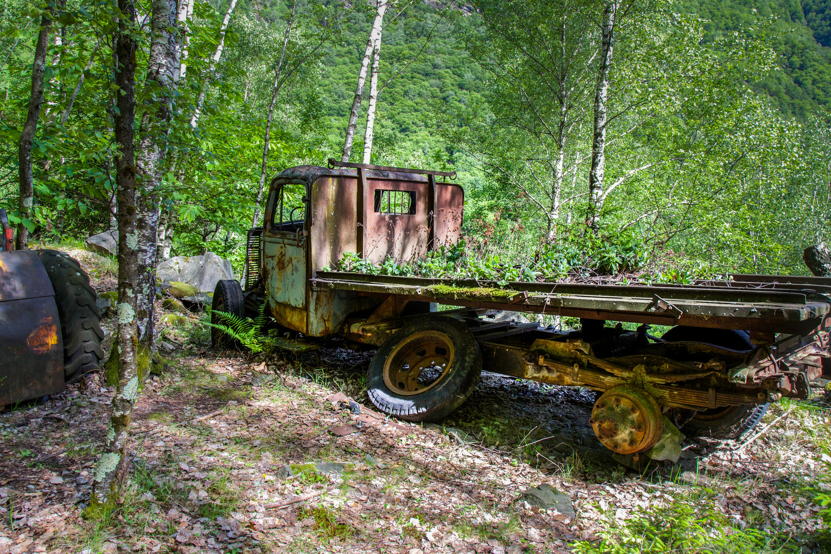 von der Natur eingeholt