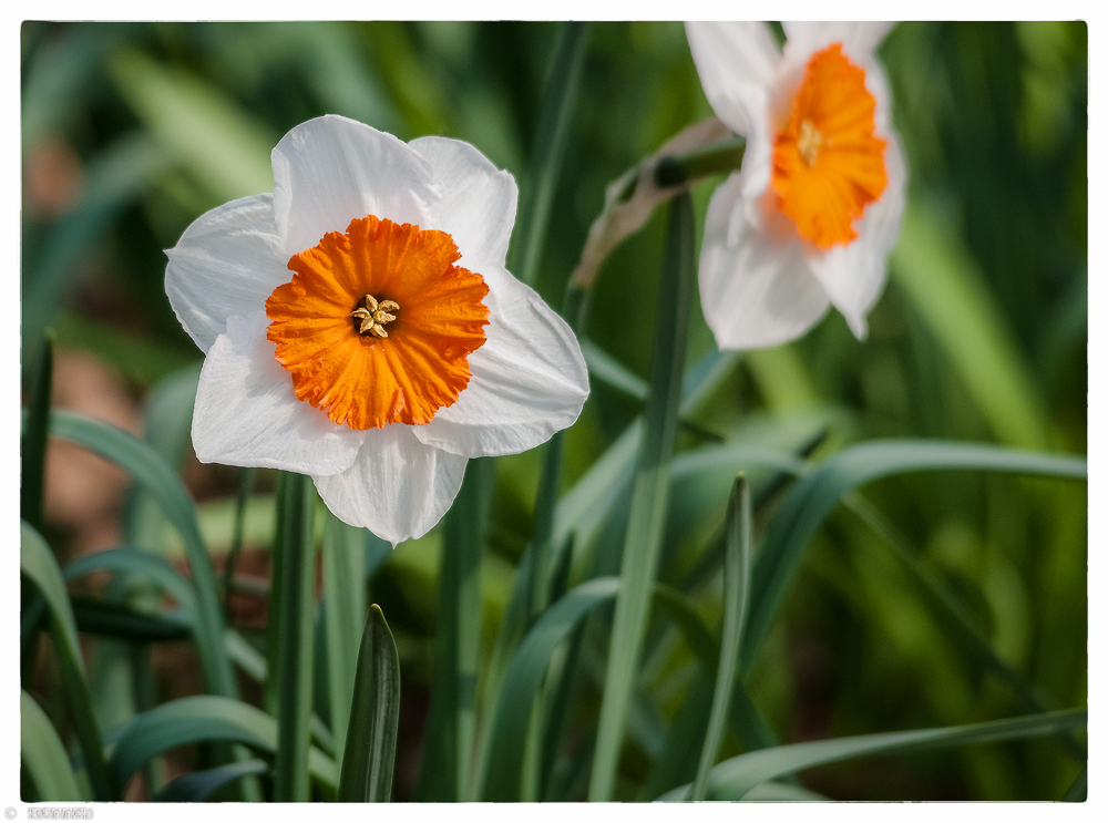 von der Natur gefördert