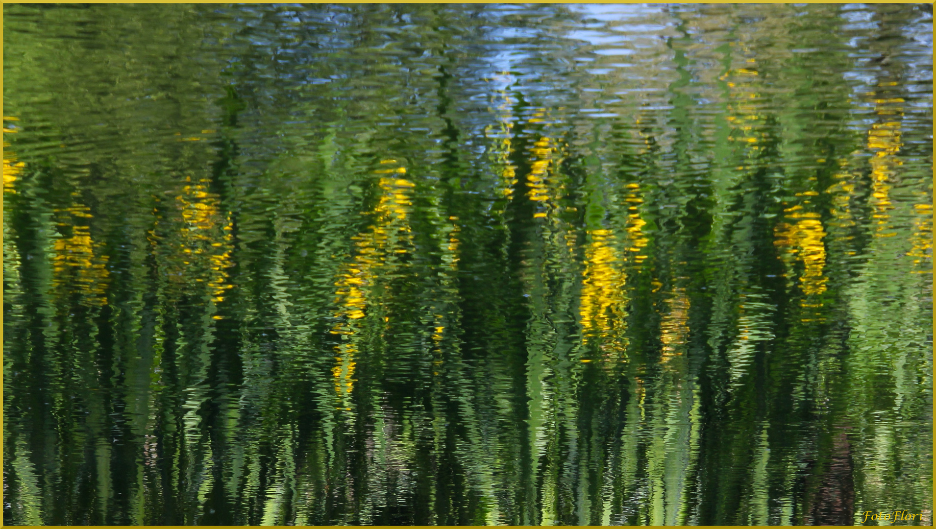 Von Der Natur Gemalt Foto Bild Pflanzen Pilze Flechten Bluten Kleinpflanzen Jahreszeiten Bilder Auf Fotocommunity