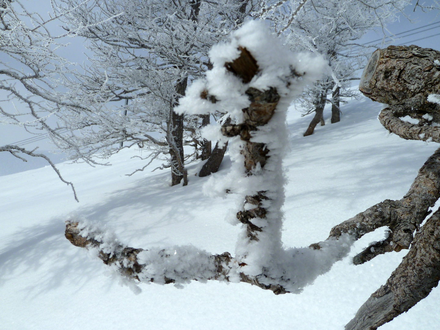 Von der Natur geschaffene Skulptur