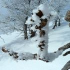 Von der Natur geschaffene Skulptur