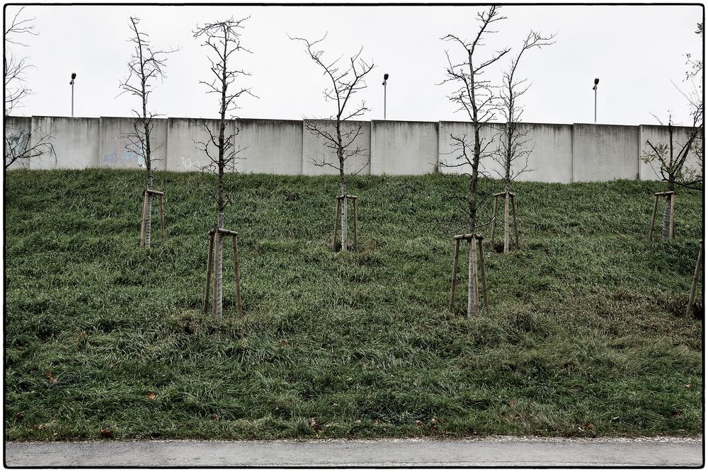 Von der Natur getrennt