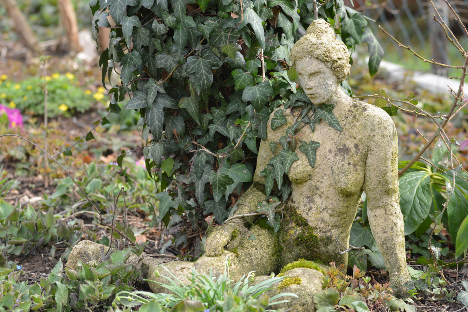 Von der Natur vereinnahmt - mit der Natur verwachsen