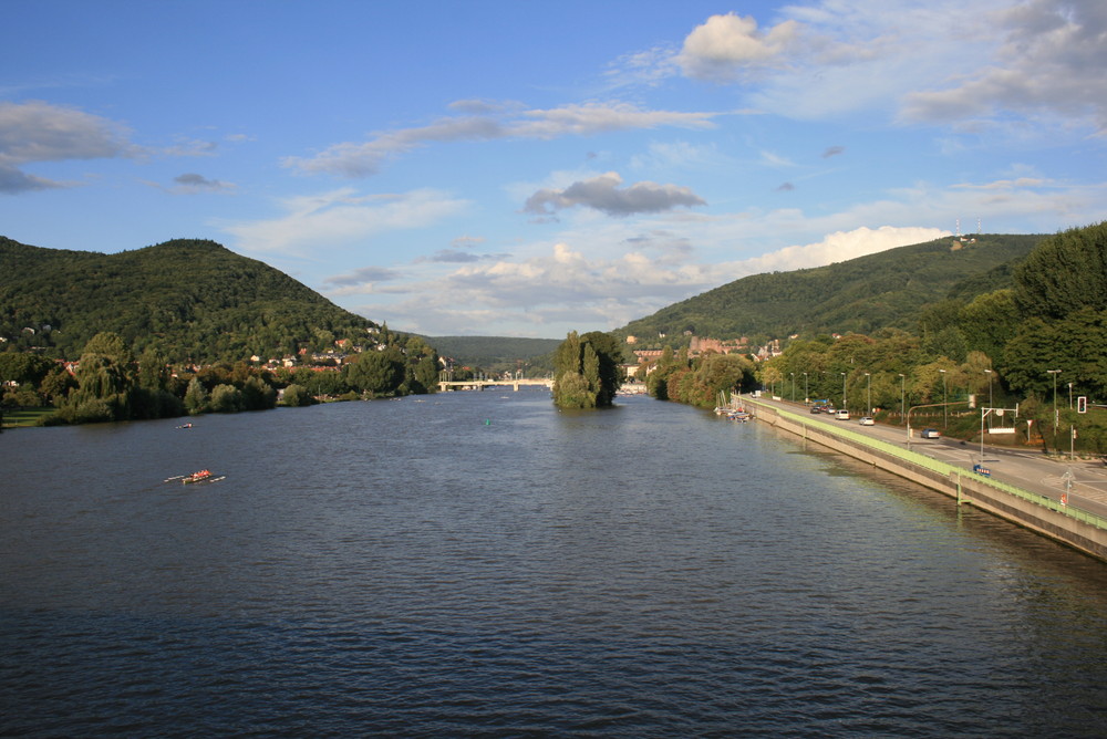 Von der Neckarbrücke