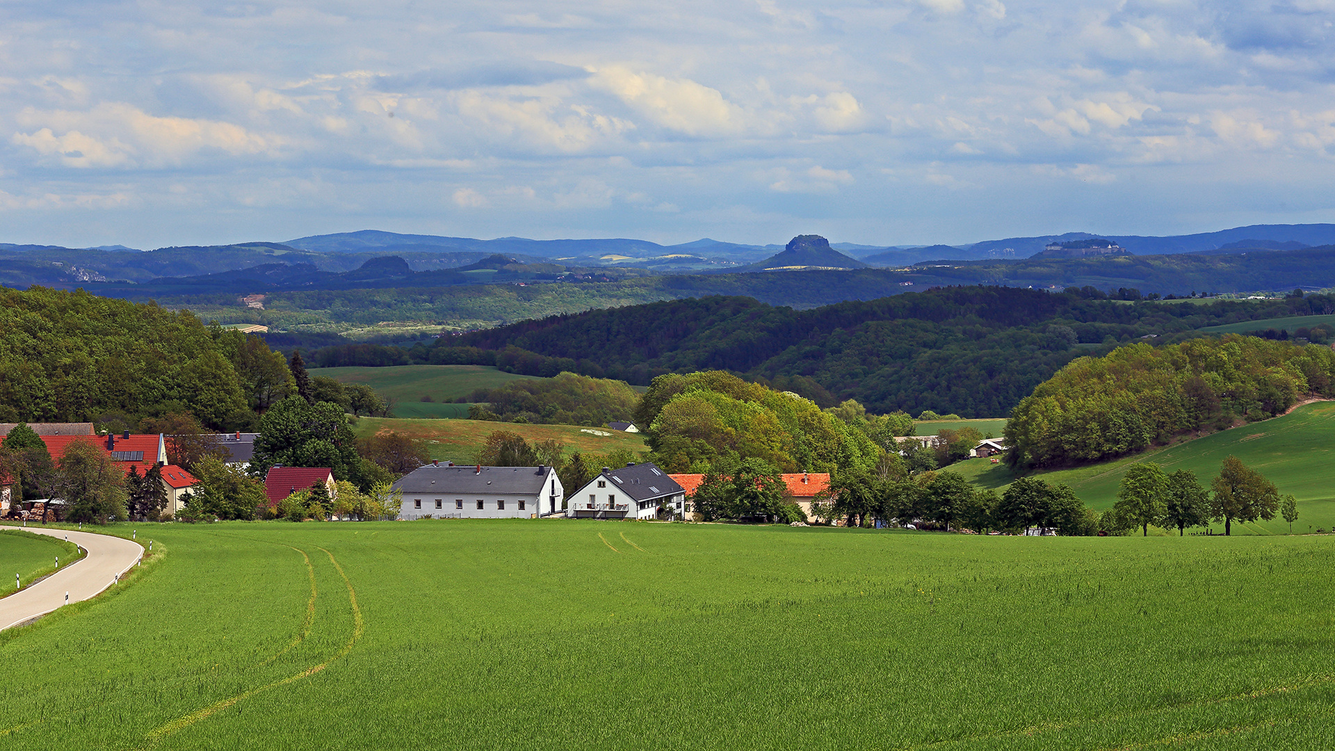 Von der neuen Lutherlinde, die anläßlich des Jubiläums der Reformation...