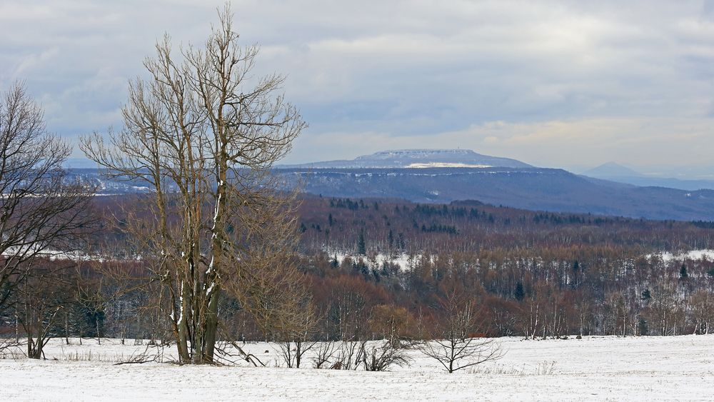 Von der Nollendorfer Höhe habe ich mich vor drei Tagen vom Winter verabschiedet...