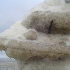 Von der Nordsee gestaltet: Eisskulptur an der Wasserkante