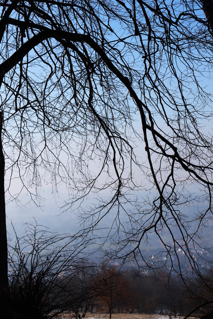 von der  Poesie des Winter s erzählend