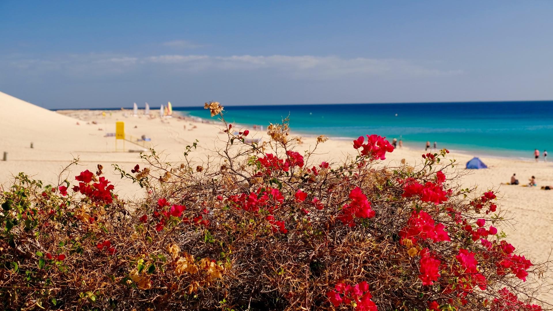 Von der Promenade aus das lebhafte Strandgeschehen beobachten 