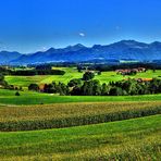 Von der Ratzingerhöhe in den Chiemgau übern Chiemsse, in die Voralpen geschaut.