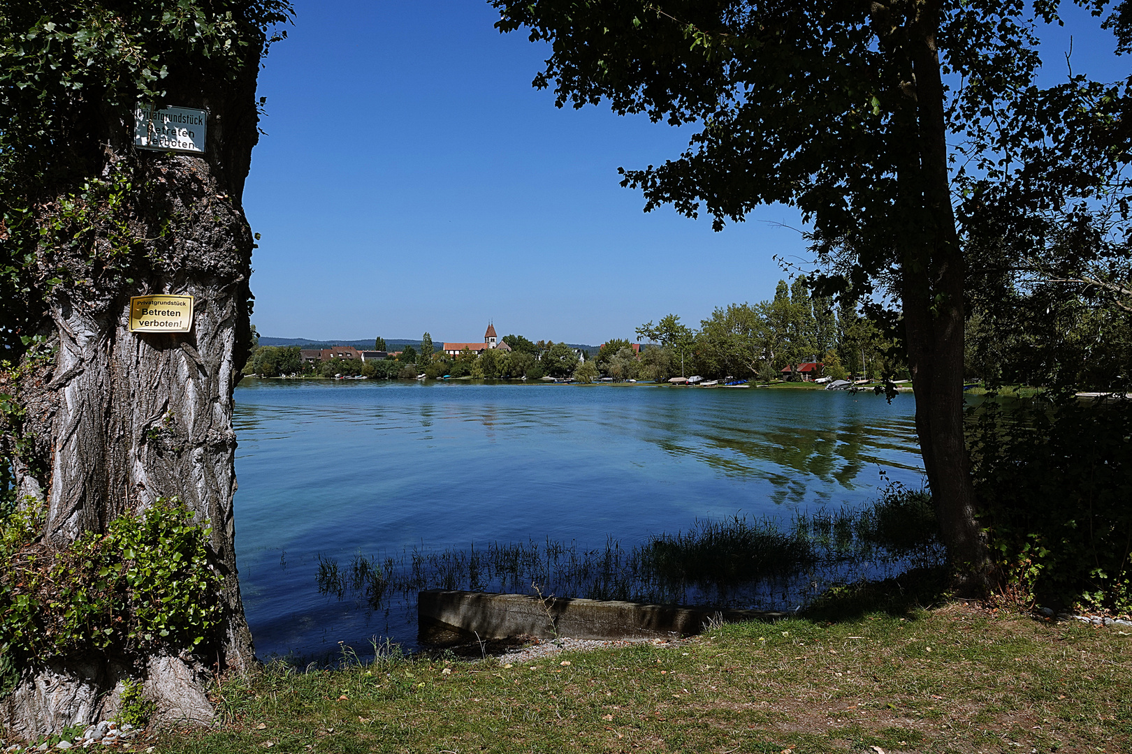 von der Reichenau ein Blick auf den See und St. Georg 