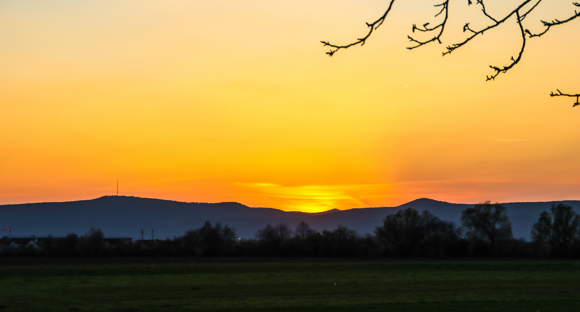 Von der Rheinebene zur Haardt