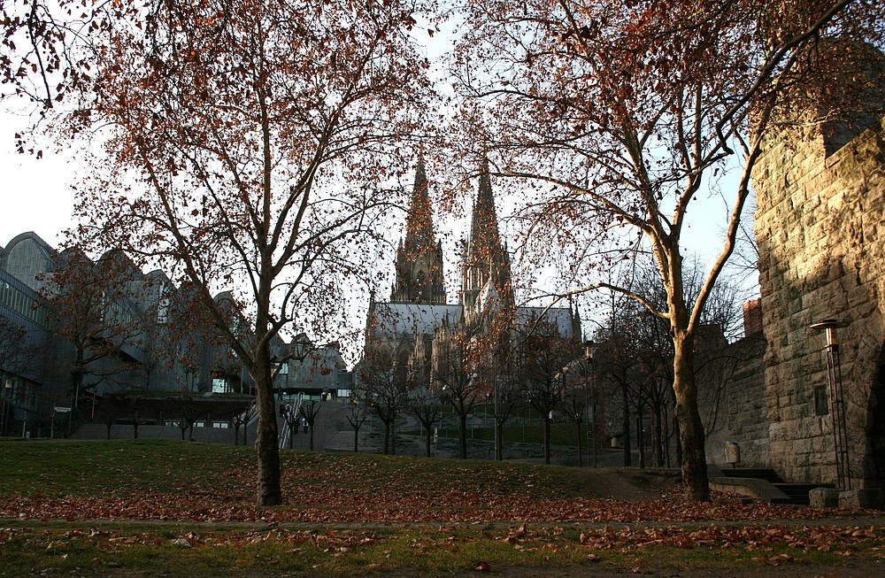 Von der Rheinpromenade Richtung Ludwig Museum + Kölner Dom (29.11.2011) (2)