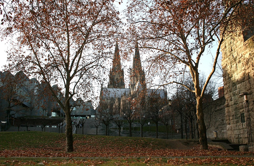 Von der Rheinpromenade Richtung Ludwig Museum + Kölner Dom (29.11.2011)