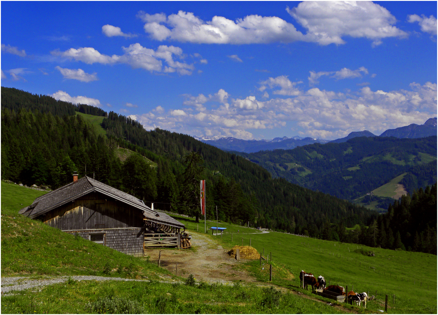 Von der Rieding Alm ...