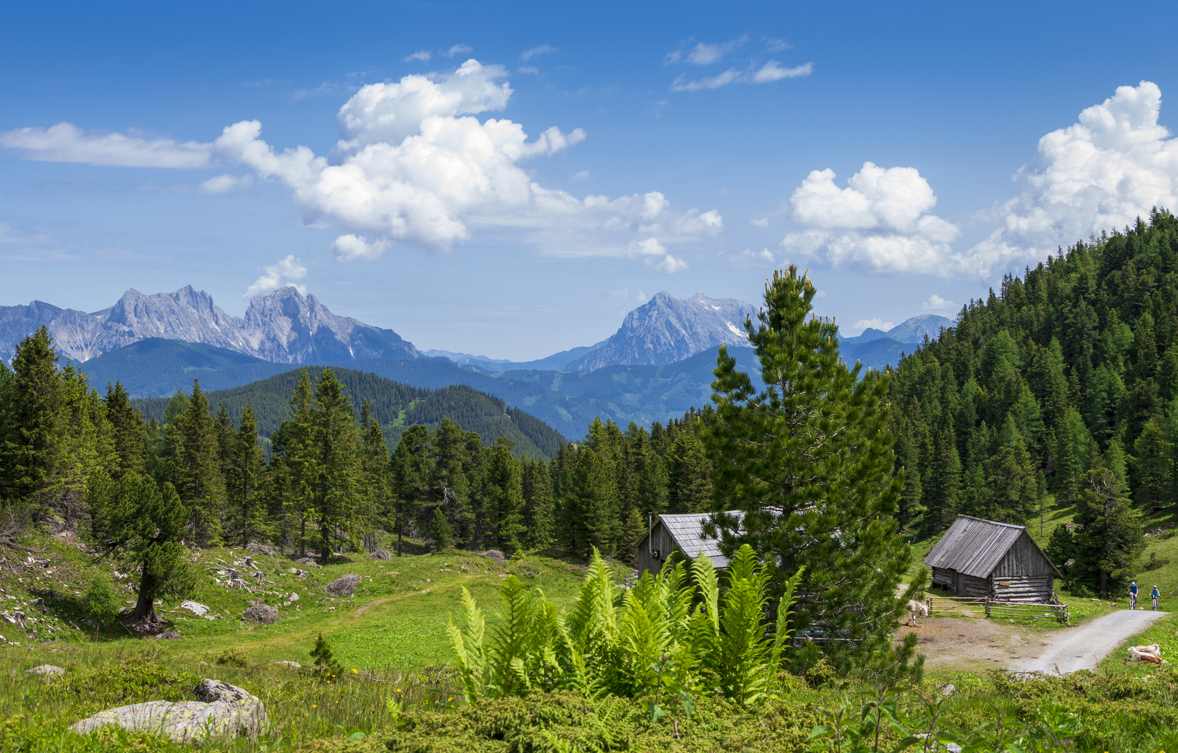 Von der Scheibelalm ins Gesäuse