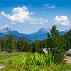 Von der Scheibelalm ins Gesäuse