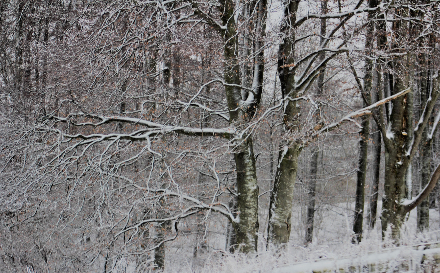 Von der Schönheit der Jahreszeiten , des Winters