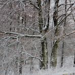 Von der Schönheit der Jahreszeiten , des Winters