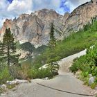 Von der Scotonihütte geht ein Fahrweg ins Tal