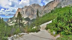 Von der Scotonihütte geht ein Fahrweg ins Tal