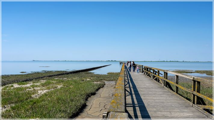 Von der Seebrücke ab ins Meer